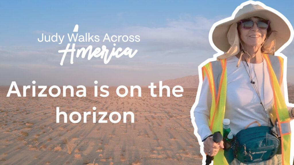 Episode 4: The Road, the Wildlife, and the Will to Heal